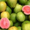 Гуава – фрукт экзотический и весьма полезный Guava что за фрукт
