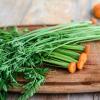 Польза морковной ботвы для организма Что делать с ботвой гороха после уборки