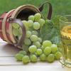 Польза и полезные свойства винограда Изабеллы