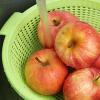Домашний сидр из яблок рецепт и технология приготовления яблочного сидра в домашних условиях