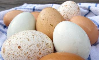 Проверяем свежесть сырых яиц в воде в домашних условиях Как понять вареное ли яйцо