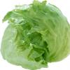 Разновидности зеленых салатов