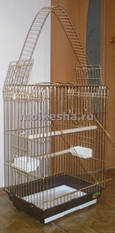 клетка для кореллы своими руками