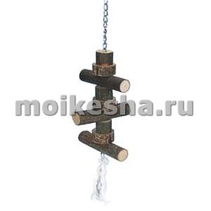какая клетка нужна для кореллы
