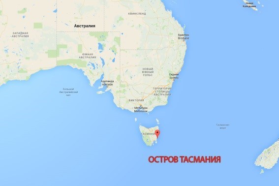 Где живет попугай розелла