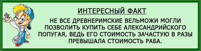 Интересный факт