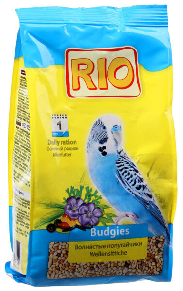 Rio Budgies